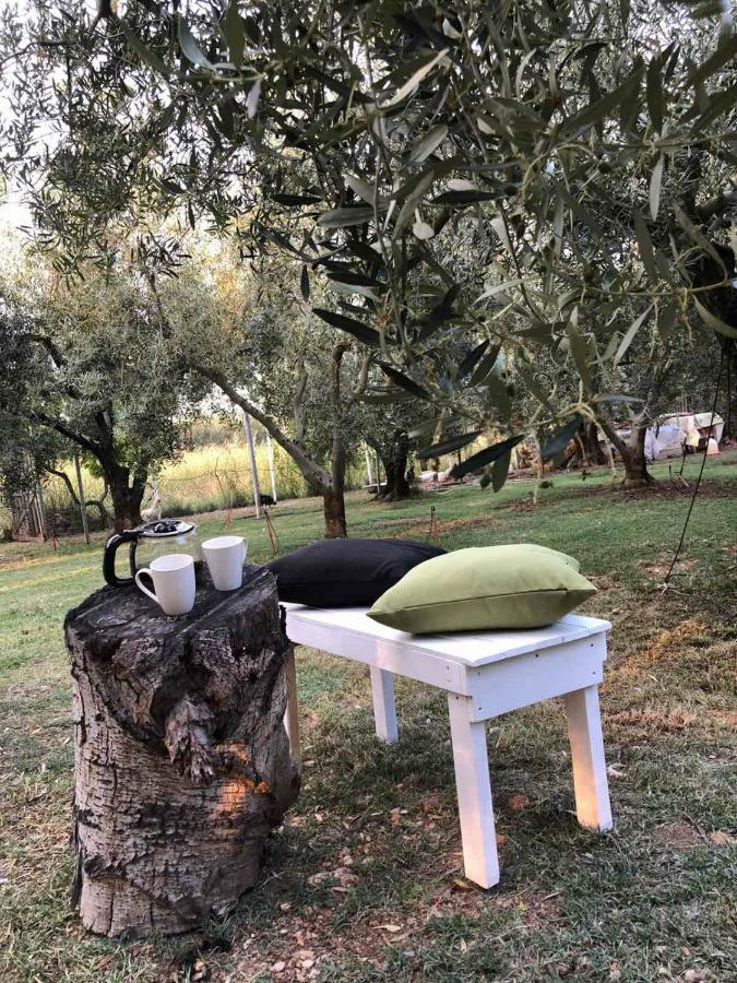 Green Olive Studios 2 Agios Mamas  Exterior foto