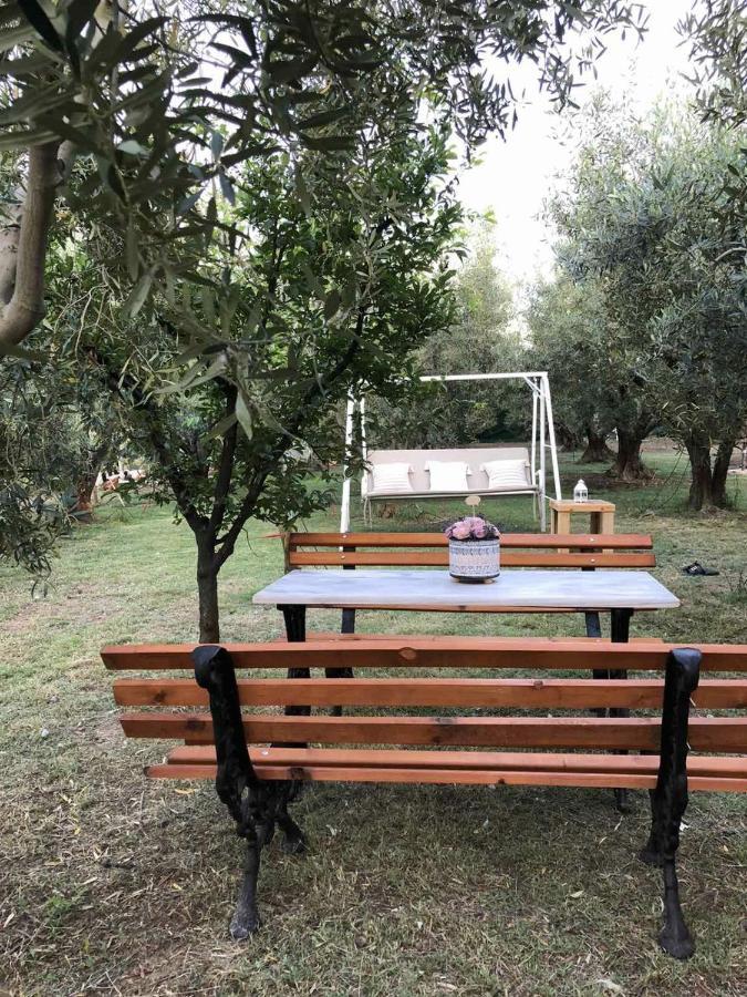 Green Olive Studios 2 Agios Mamas  Exterior foto